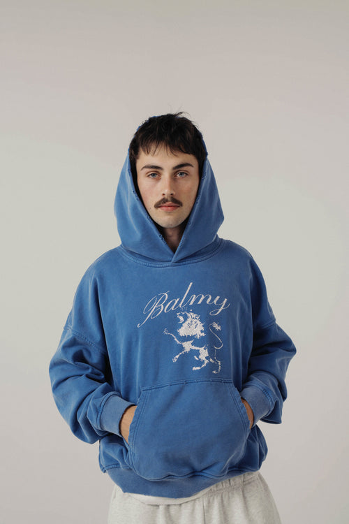 "Lion of Judah" hoodie